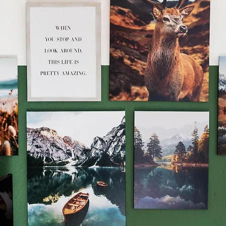 Hohnsteinoase-fasssauna Und Kuehlbecken-3 Sz-parkplatz - Waschmaschine Хонштайн